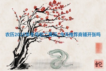 农历2025年冬月初二黄历：今天推荐商铺开张吗