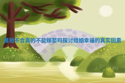 属相不合真的不能嫁娶吗探讨婚姻幸福的真实因素