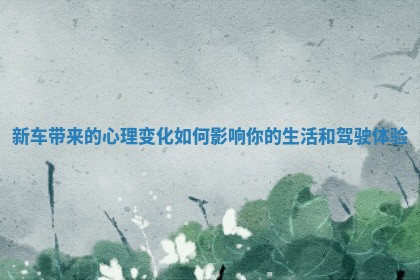 新车带来的心理变化如何影响你的生活和驾驶体验