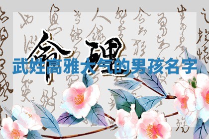 武姓高雅大气的男孩名字