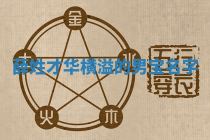薛姓才华横溢的男宝名字